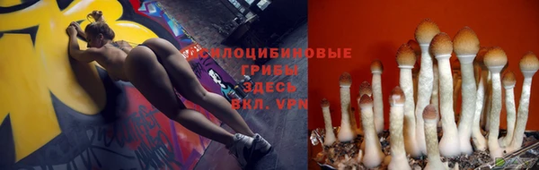 прущий лед Алексин