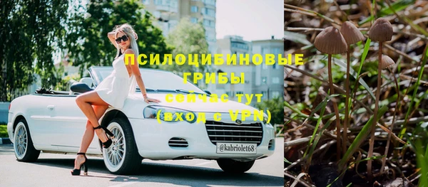 прущий лед Алексин