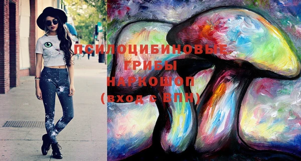 прущий лед Алексин