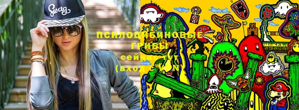 прущий лед Алексин