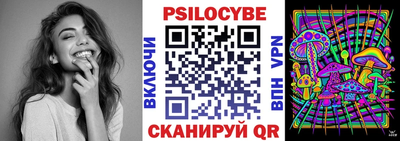 блэк спрут tor  Волгоград  Псилоцибиновые грибы Cubensis 