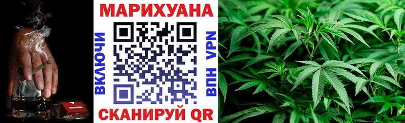 как найти   Волгоград  Конопля Bruce Banner 